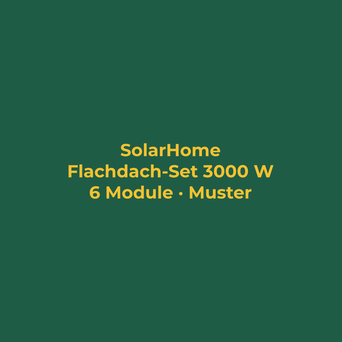 Flachdach-Set 3000 W mit Speicher (Musterbild)