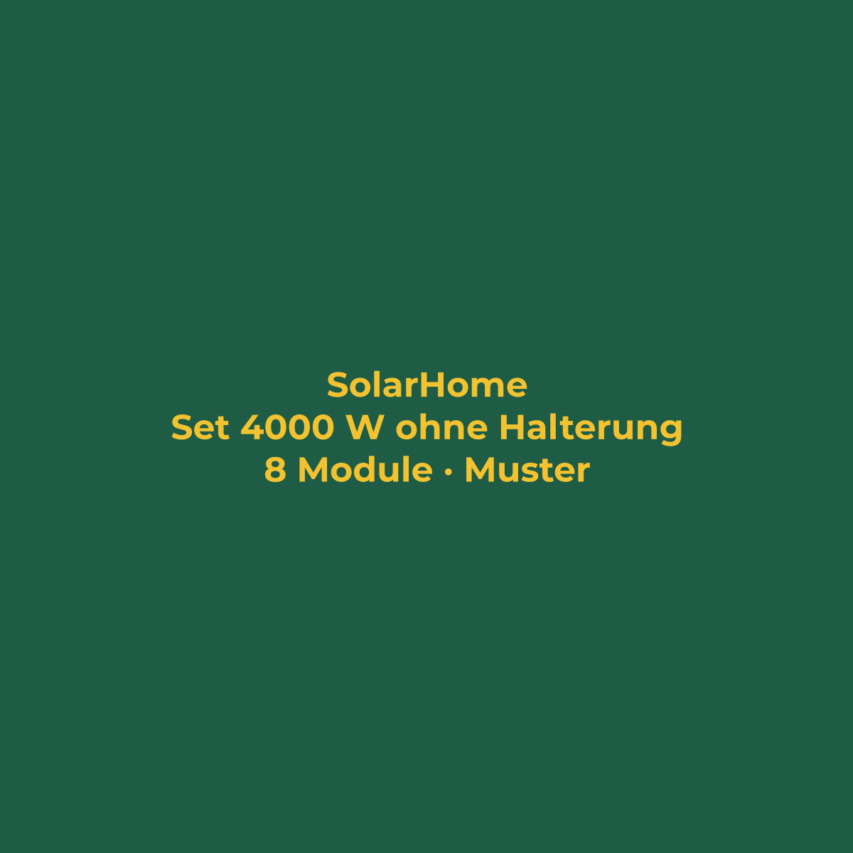 Set 4000 W ohne Halterung mit Speicher (Musterbild)