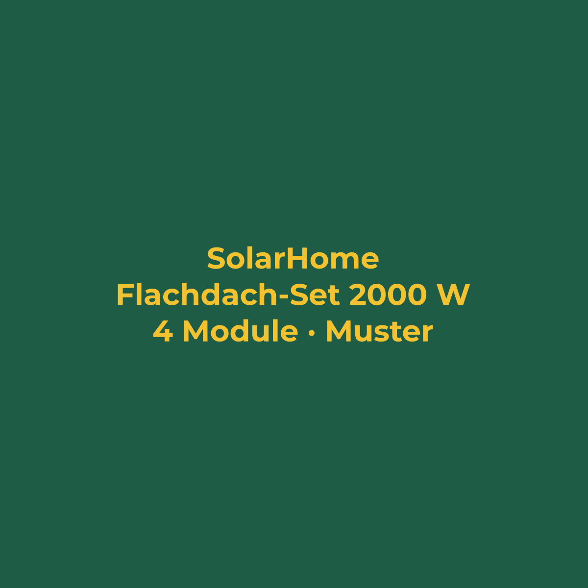 Flachdach-Set 2000 W mit Speicher (Musterbild)