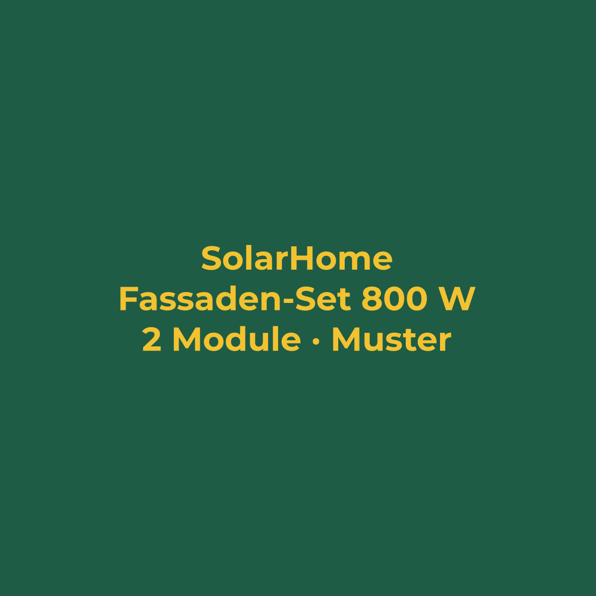 Fassaden-Set 800 W mit Speicher (Musterbild)