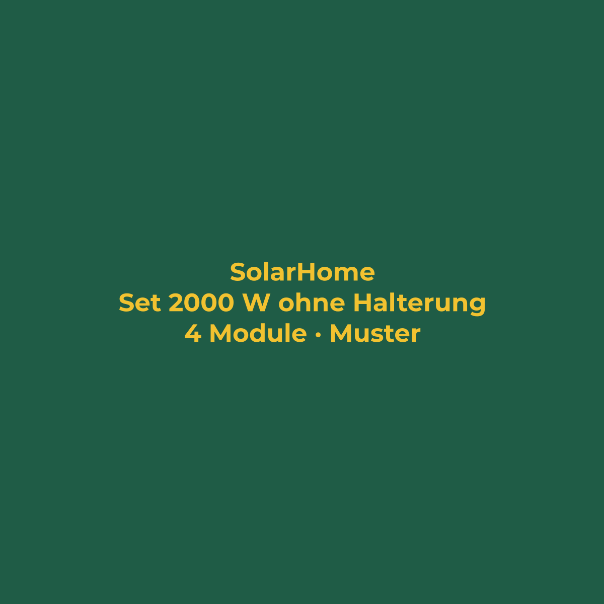 Set 2000 W ohne Halterung mit Speicher (Musterbild)